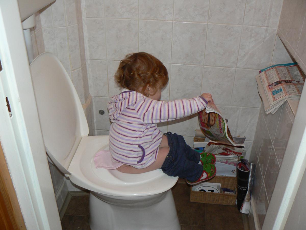 Idnes rajce potty 07-122010_Záchod – finesue – album na Rajčeti