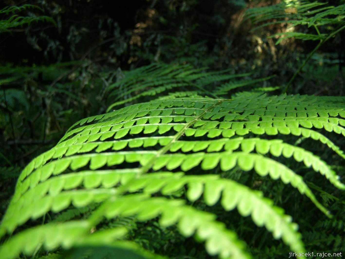 Závada - zřícenina hradu