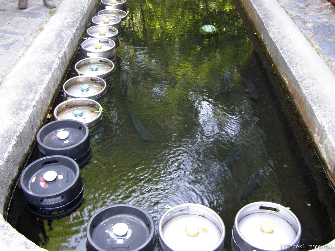 Bělá - pstruží farma