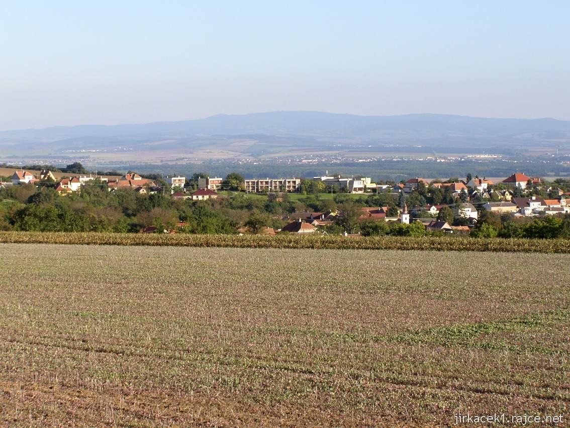 Vážany - pohled na obec z rozhledny Doubí