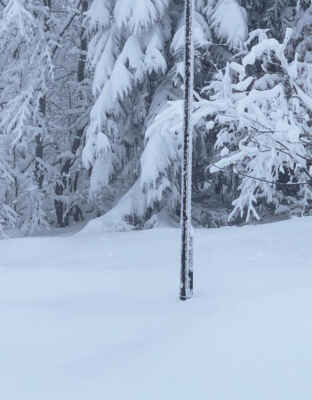 Almberg mýtina 9.leden, omrzlá sněholať kus pod vcholem za větrem ukazuje (nebo měla by ukazovat:) bez pár cm půlmetr