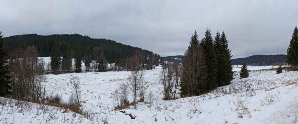 Březová Lada v polovině prosince
po obou stranách chladného poměrně rozlehlého údolí Teplé Vltavy byly dříve osady Březová Lada a Slatina