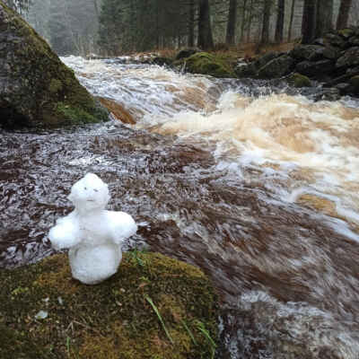 Další prosincová obleva již ve větší síle posílá vodu z tajícícho sněhu ze Šumavy do Lipna.....