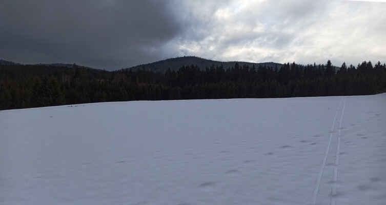 nedělní běžky okolo komína :) 
sníh na větší ploše se s končící meteorologickou zimou drží na Šumavě ve výškách kolem 800 m už jen místy a zuby nehty