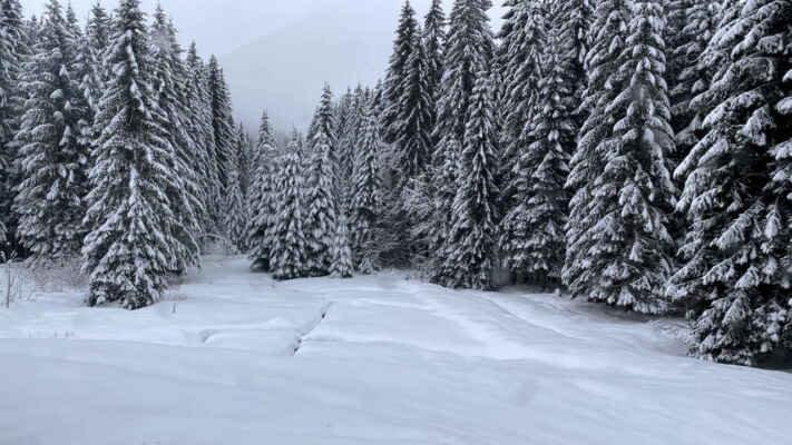 Oblast pramenů přítoků Řasnice si na návětří Šumavy vytváří znovu solidní sněhový polštář
9.leden