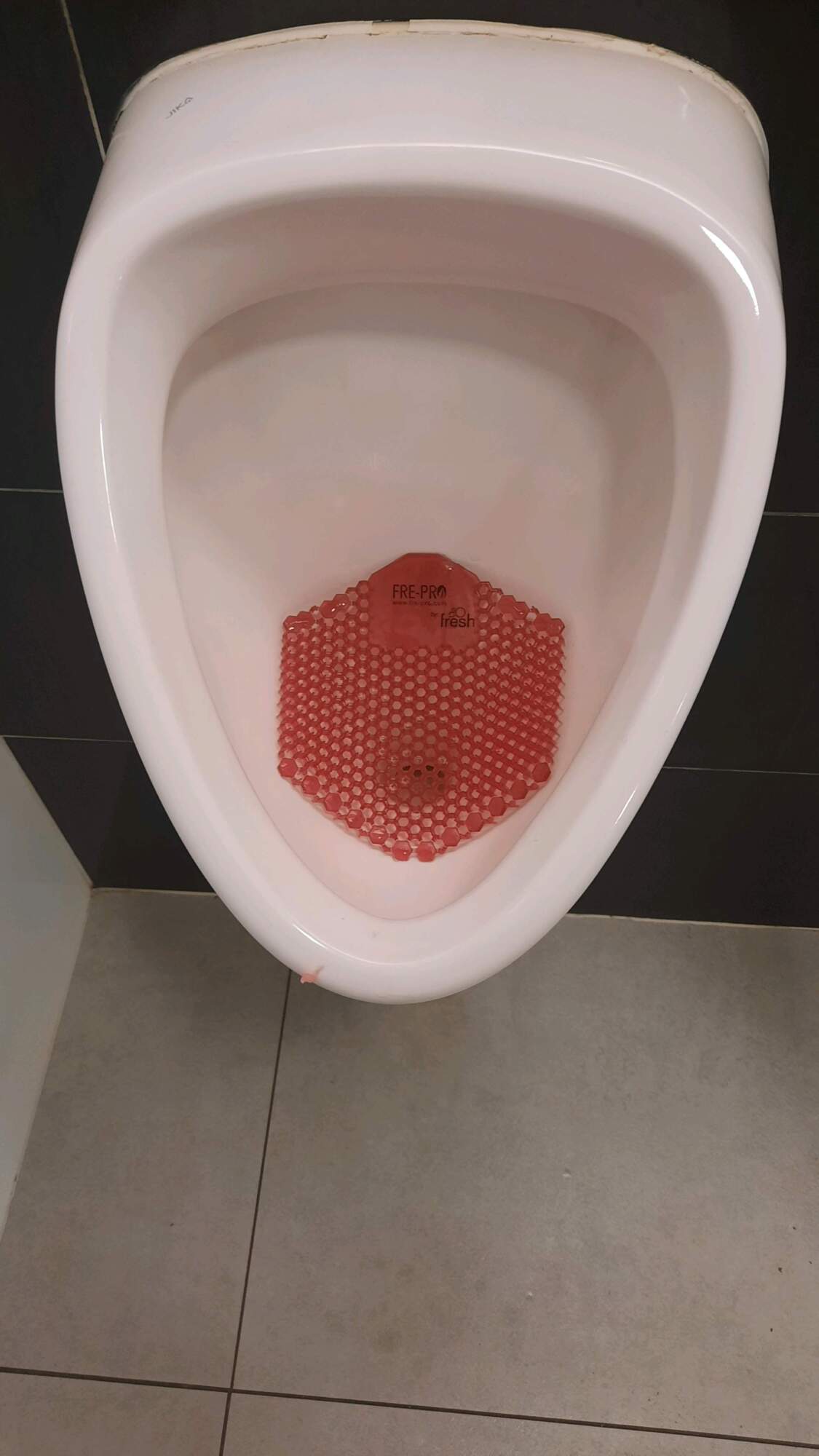 rajce.idnes.cz toilet 