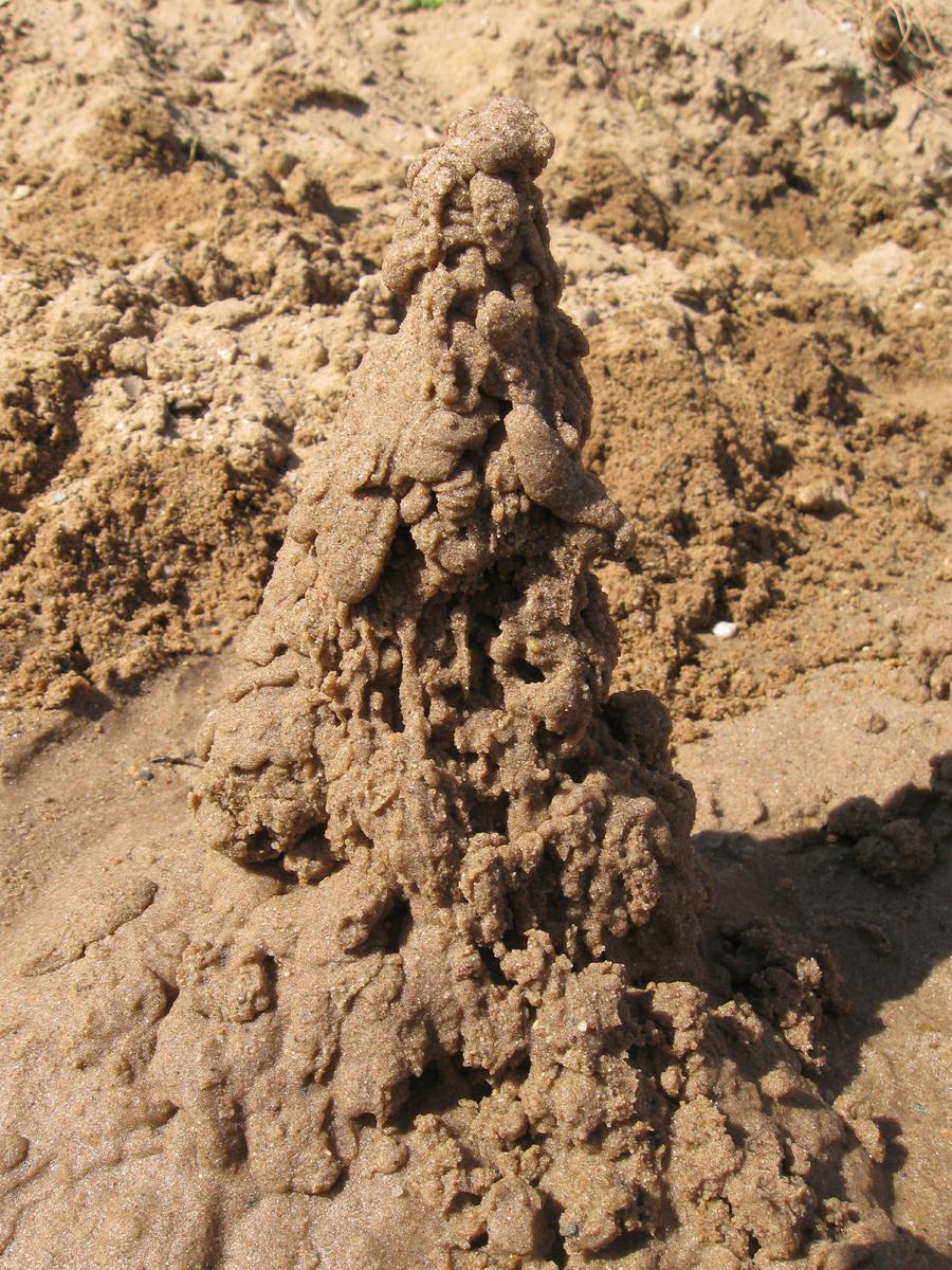 rajce.idnes.cz 2011rajce idnes child "